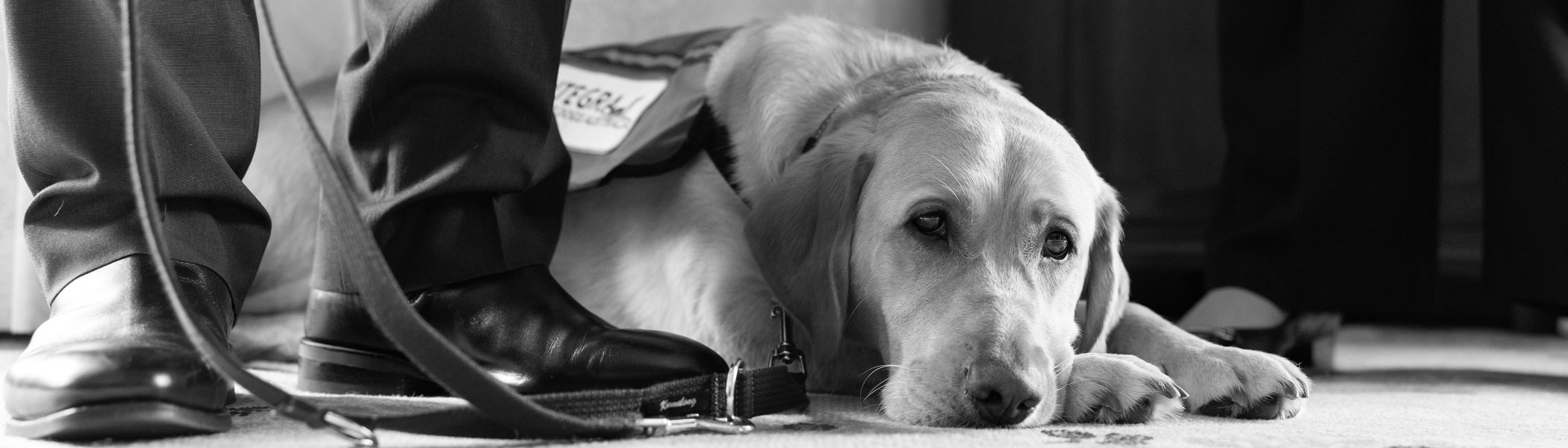 Integra Service Dog lying at feet of Handler