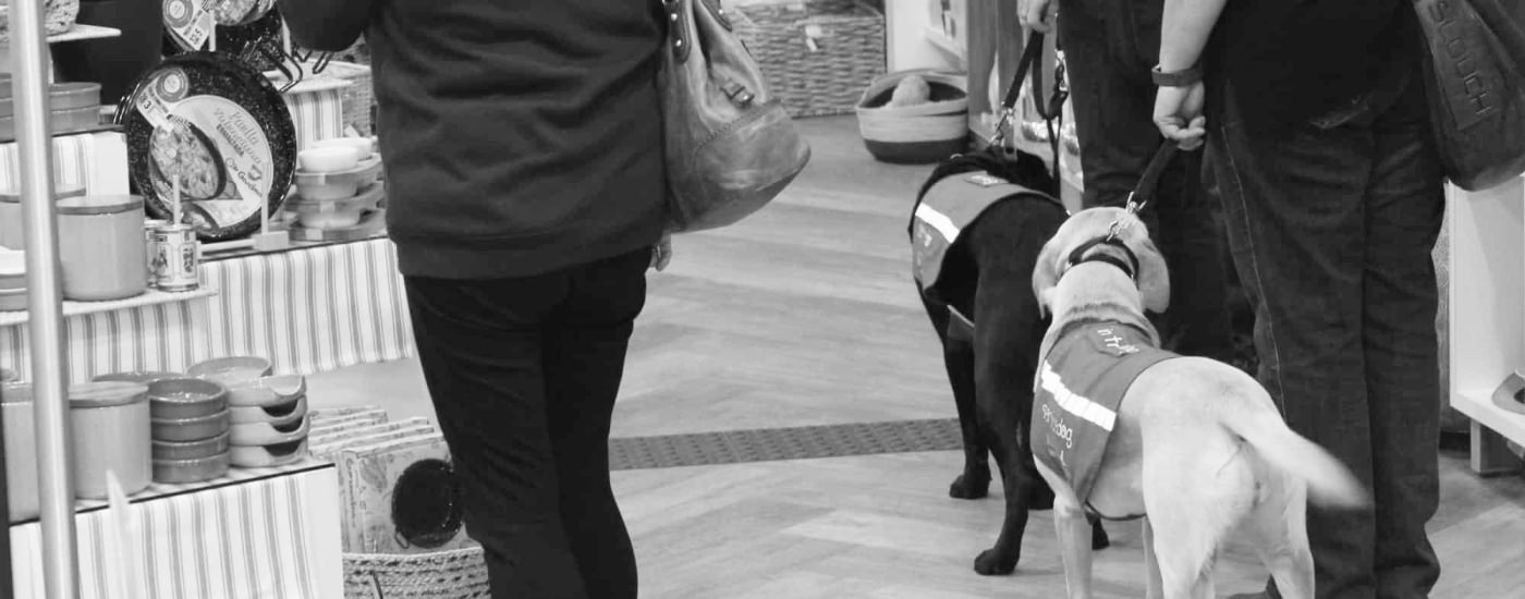 Young Service dogs in training at a shopping centre wearing working jackets