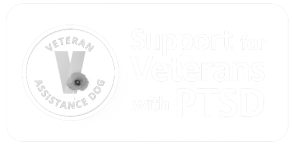 Official logo for Veterans with PTSD